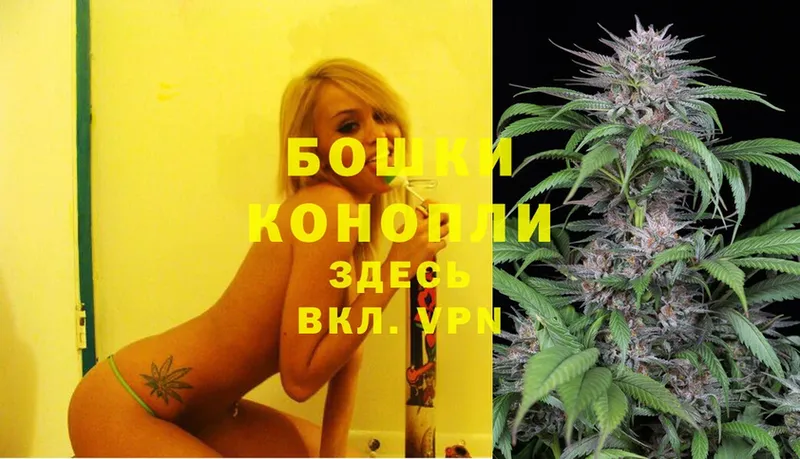 Шишки марихуана OG Kush  Верхняя Пышма 